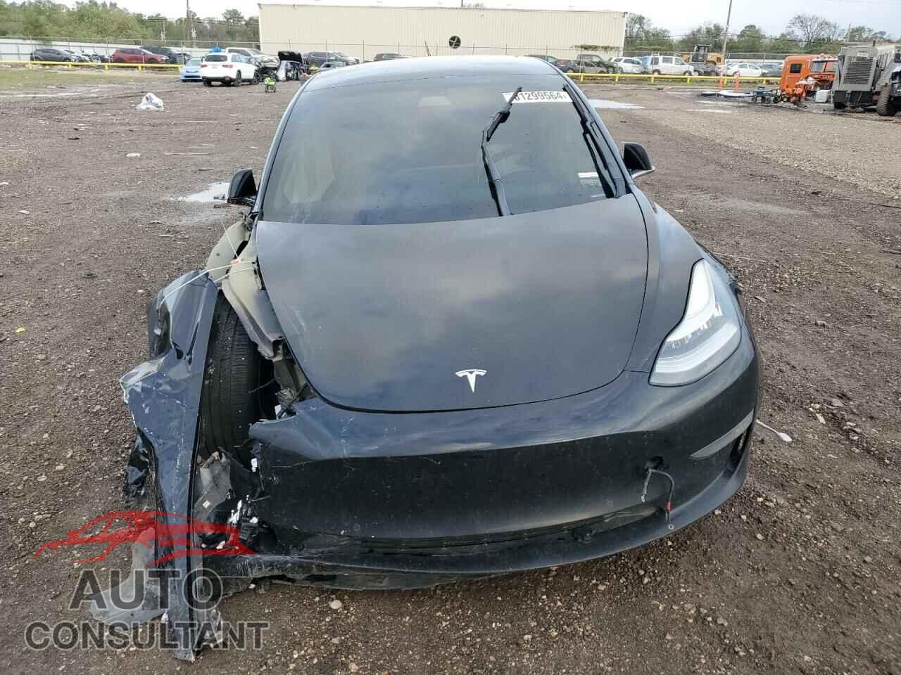 TESLA MODEL 3 2019 - 5YJ3E1EA1KF395283