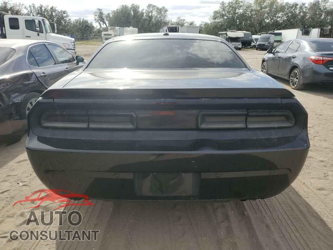 DODGE CHALLENGER 2013 - 2C3CDYBT8DH531234