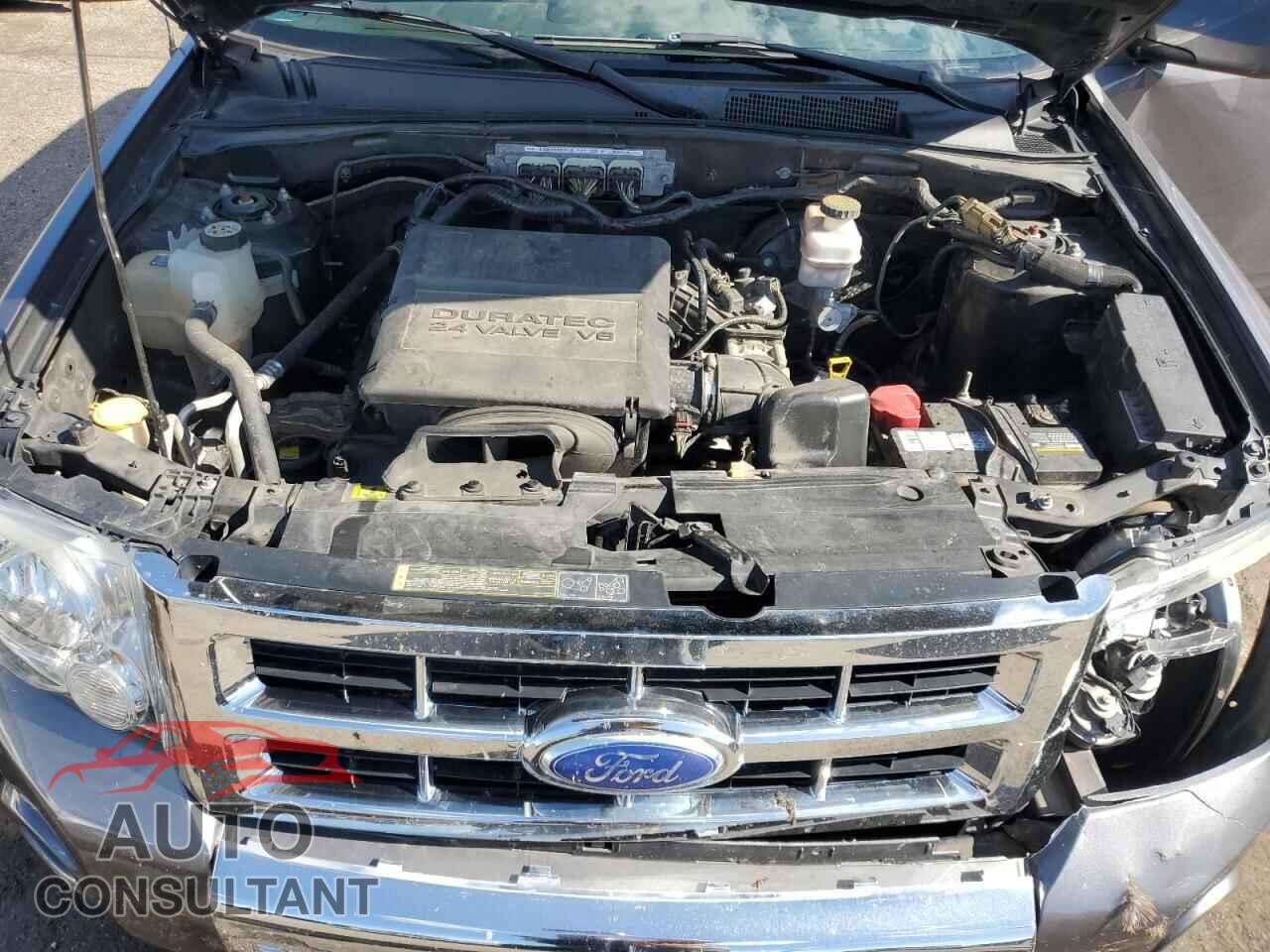 FORD ESCAPE 2011 - 1FMCU0EG2BKC49829