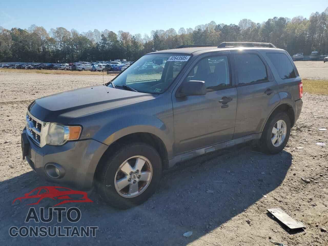FORD ESCAPE 2011 - 1FMCU0D76BKA50882