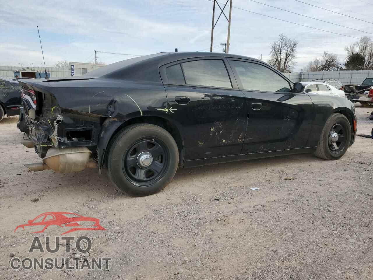DODGE CHARGER 2019 - 2C3CDXAT5KH533113