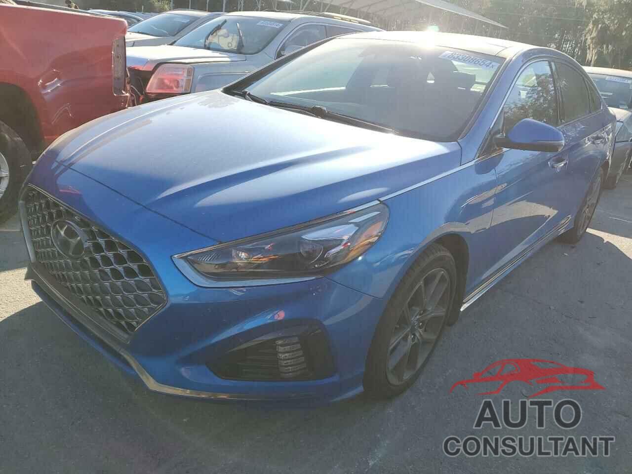 HYUNDAI SONATA 2019 - 5NPE34AB1KH742305