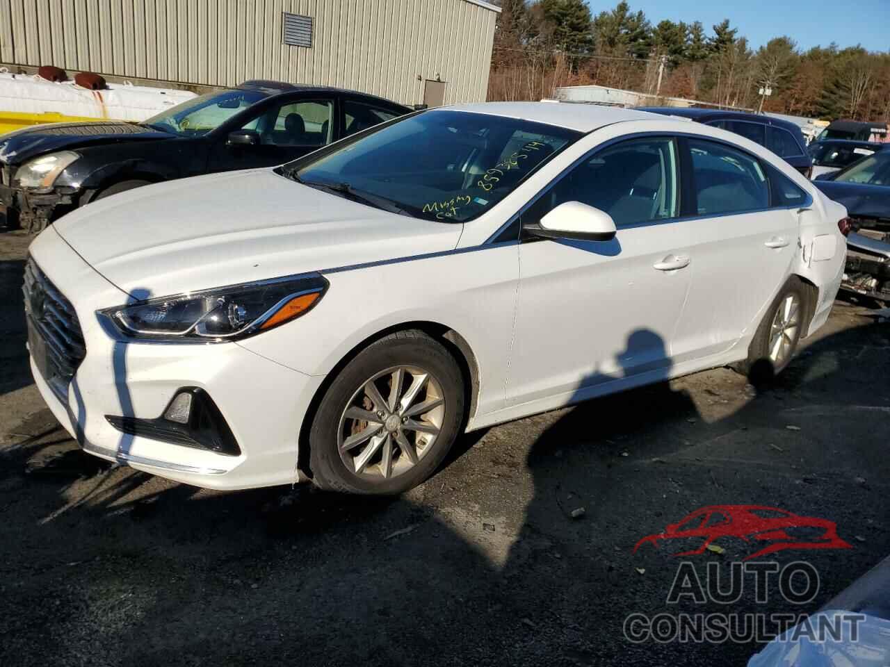 HYUNDAI SONATA 2019 - 5NPE24AF2KH755148