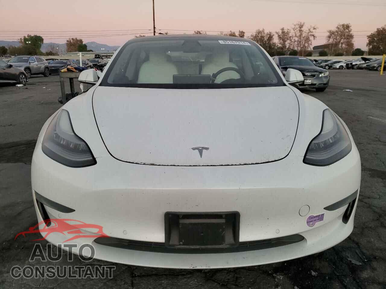 TESLA MODEL 3 2019 - 5YJ3E1EA7KF431784