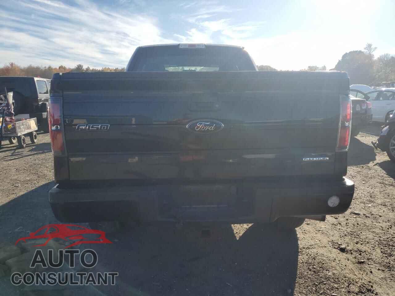 FORD F-150 2014 - 1FTFX1EF6EFC81475