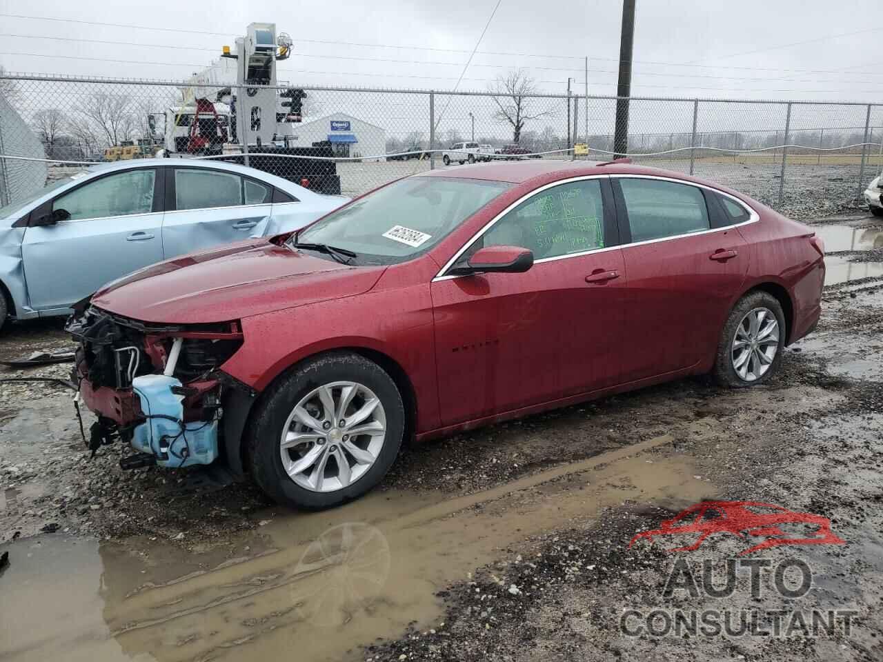 CHEVROLET MALIBU 2019 - 1G1ZD5ST6KF132852