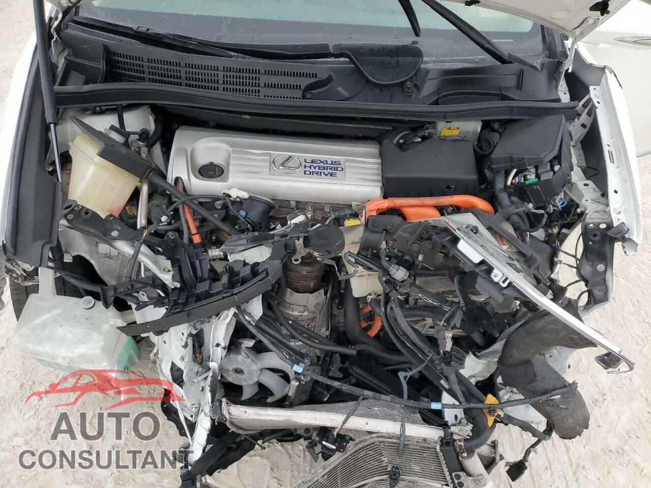 LEXUS HS 2010 - JTHBB1BA8A2020371