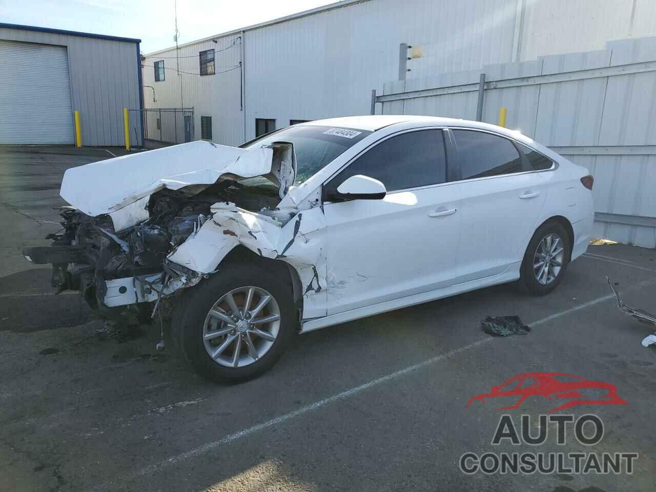 HYUNDAI SONATA 2019 - 5NPE24AF0KH753740