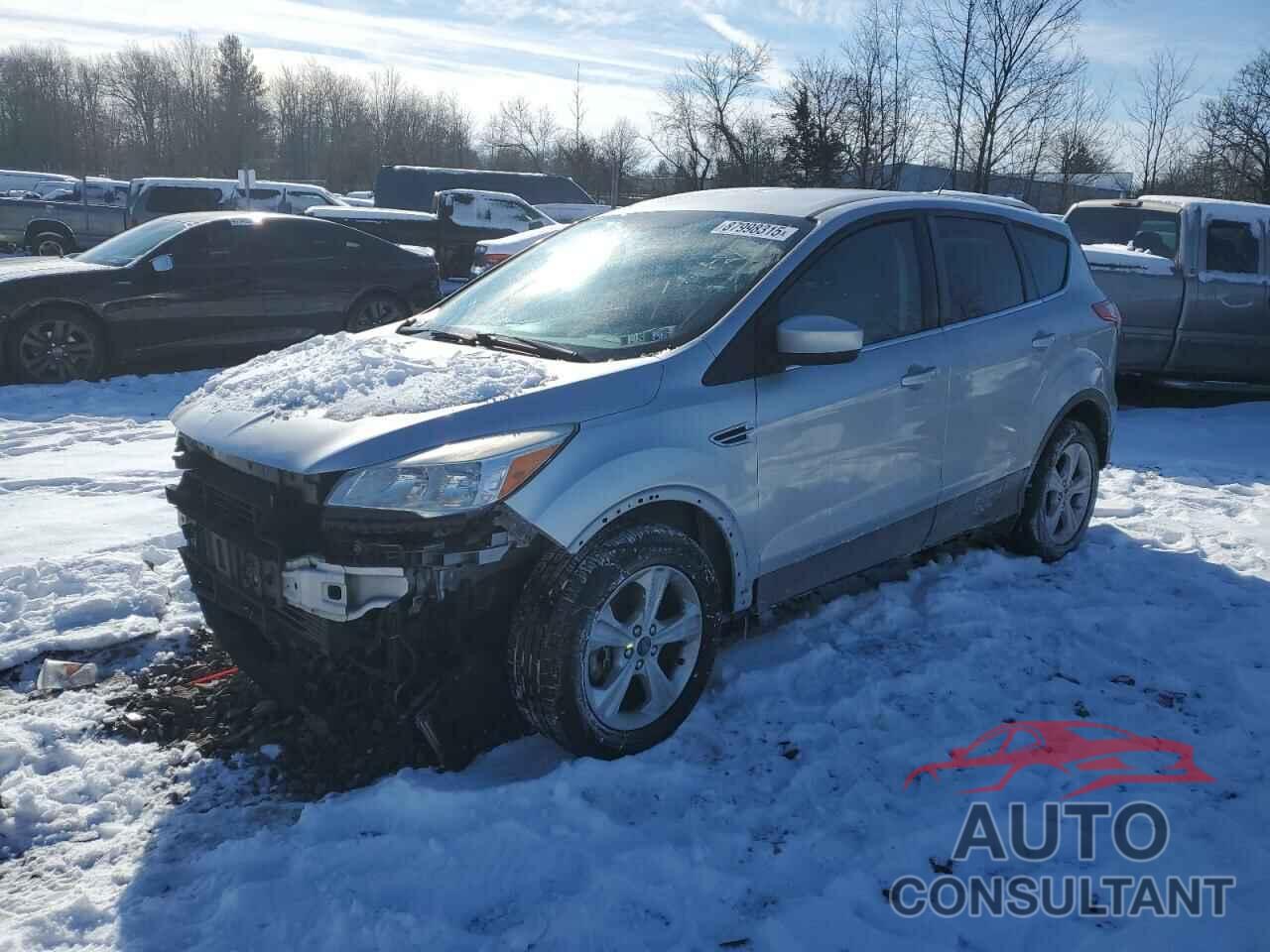 FORD ESCAPE 2014 - 1FMCU9GX9EUA42171
