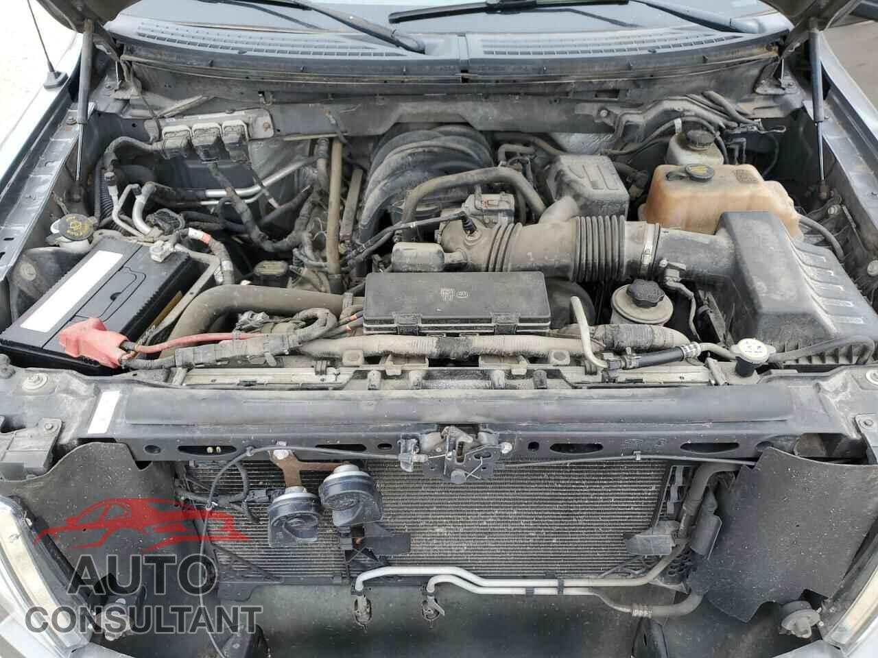 FORD F-150 2010 - 1FTFW1E83AKE27112