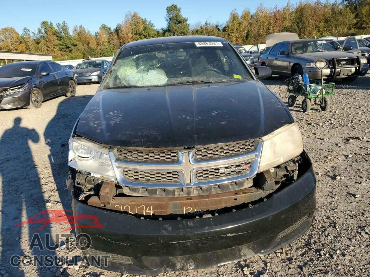 DODGE AVENGER 2013 - 1C3CDZAB7DN519131