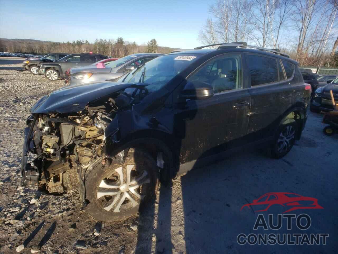 TOYOTA RAV4 2016 - 2T3BFREVXGW451622