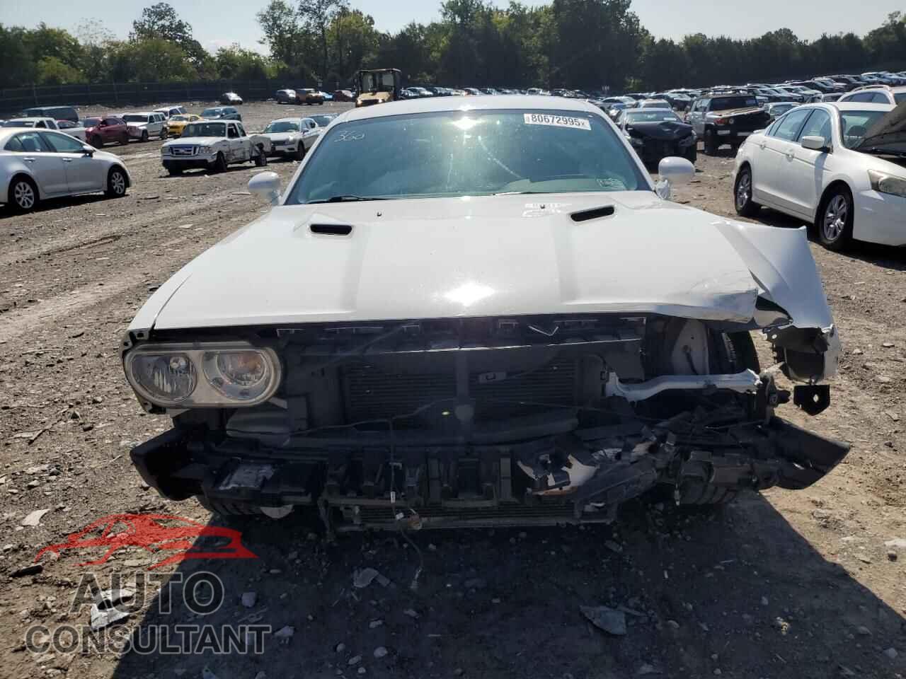DODGE CHALLENGER 2013 - 2C3CDYAG8DH554145