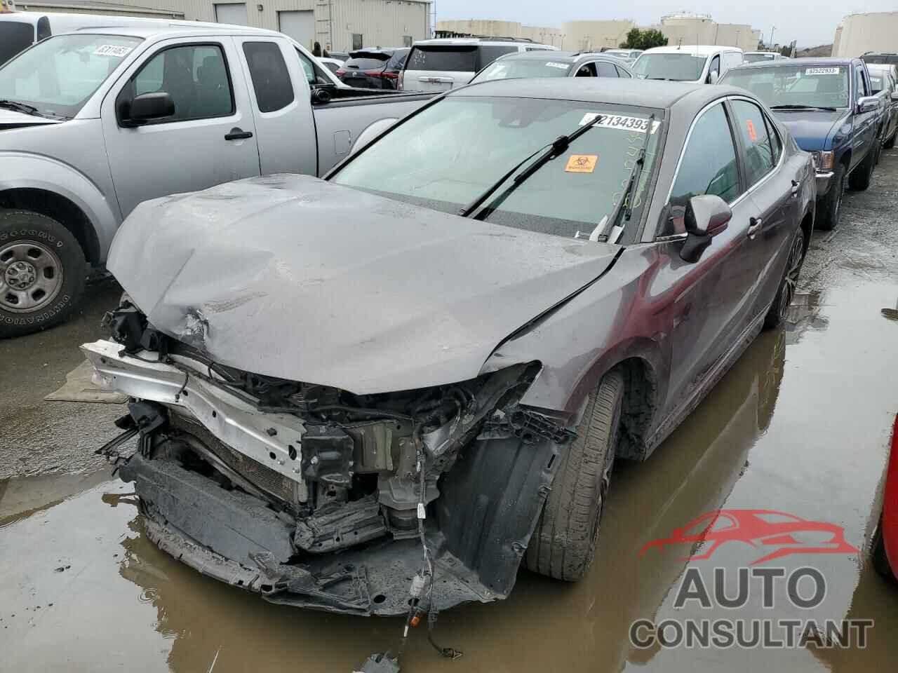 TOYOTA CAMRY 2019 - 4T1B11HK4KU756584
