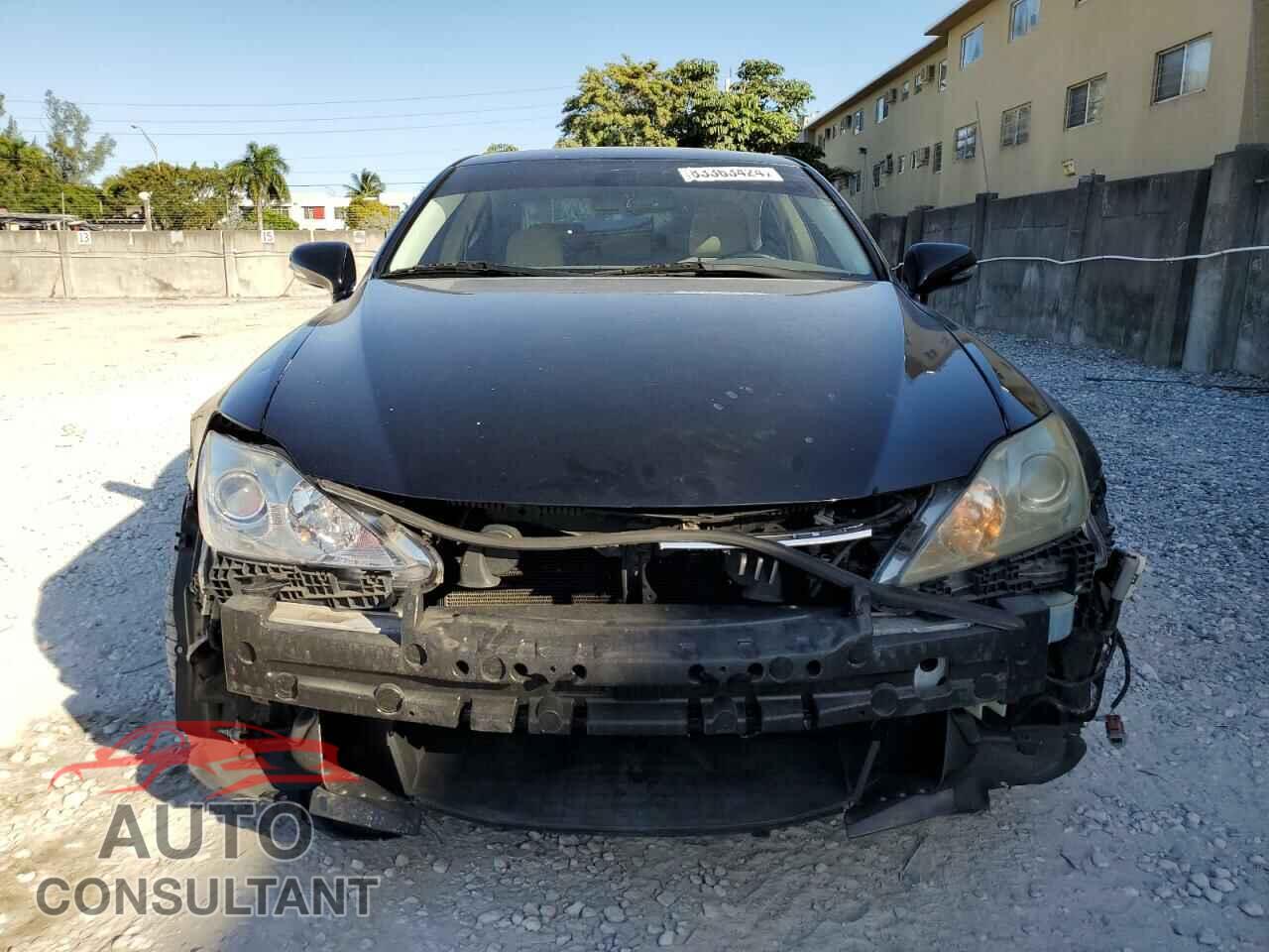 LEXUS IS 2009 - JTHBK262292085754