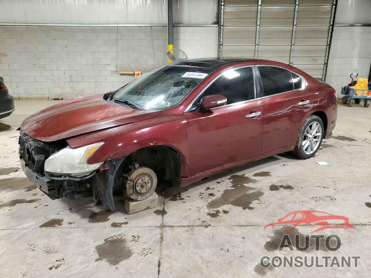 NISSAN MAXIMA 2011 - 1N4AA5AP7BC820075
