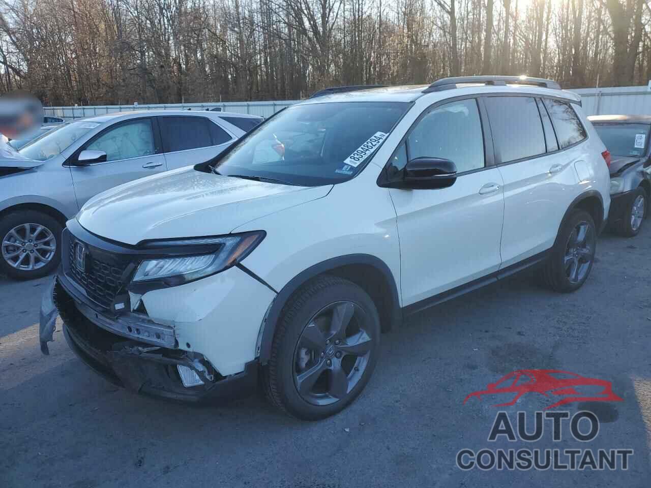 HONDA PASSPORT 2019 - 5FNYF8H99KB002983