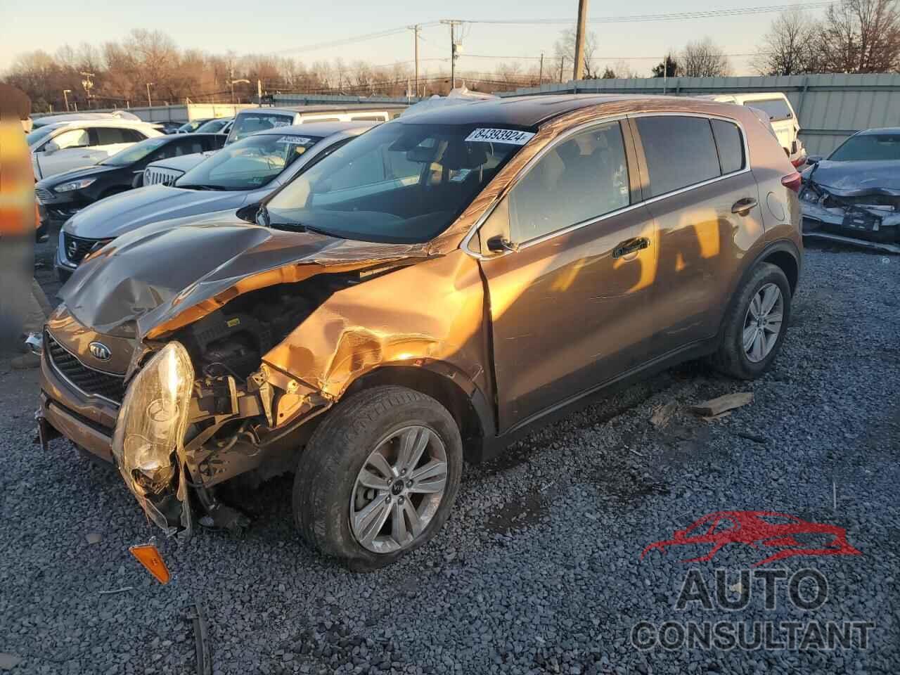 KIA SPORTAGE 2017 - KNDPM3AC5H7209119