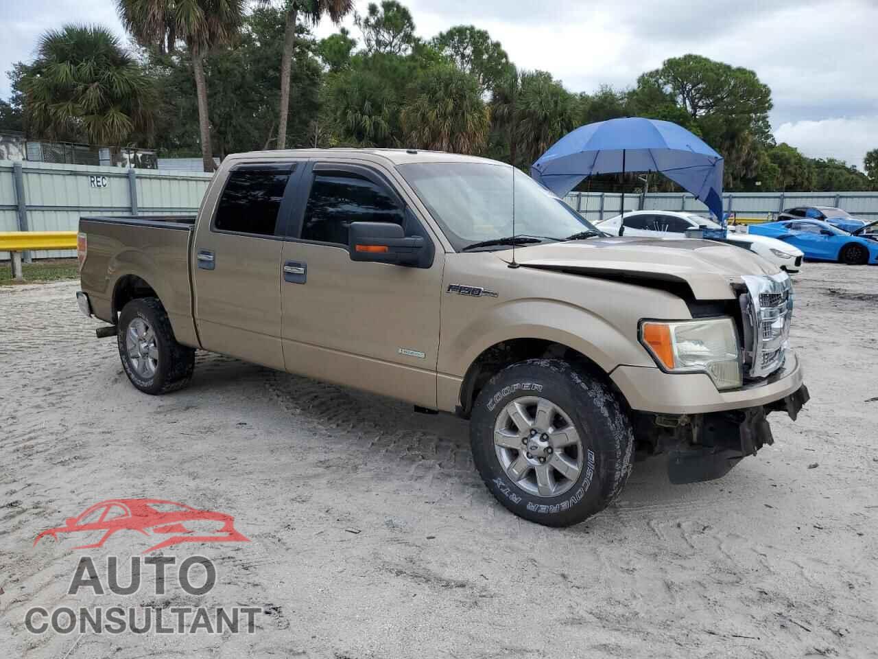 FORD F-150 2013 - 1FTFW1CT4DFD31218
