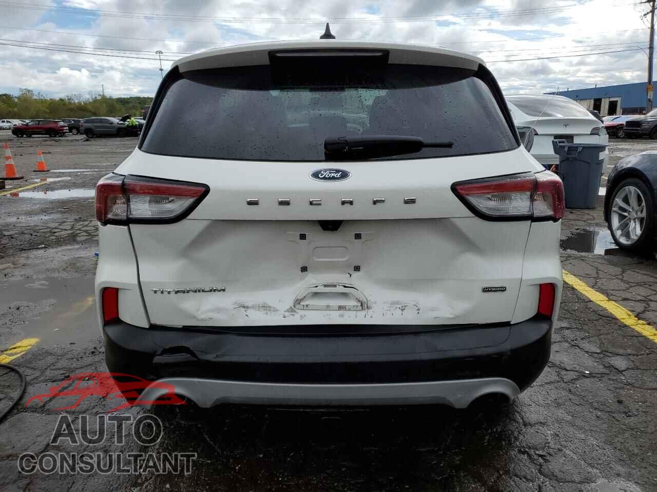 FORD ESCAPE 2020 - 1FMCU0DZ5LUA09523