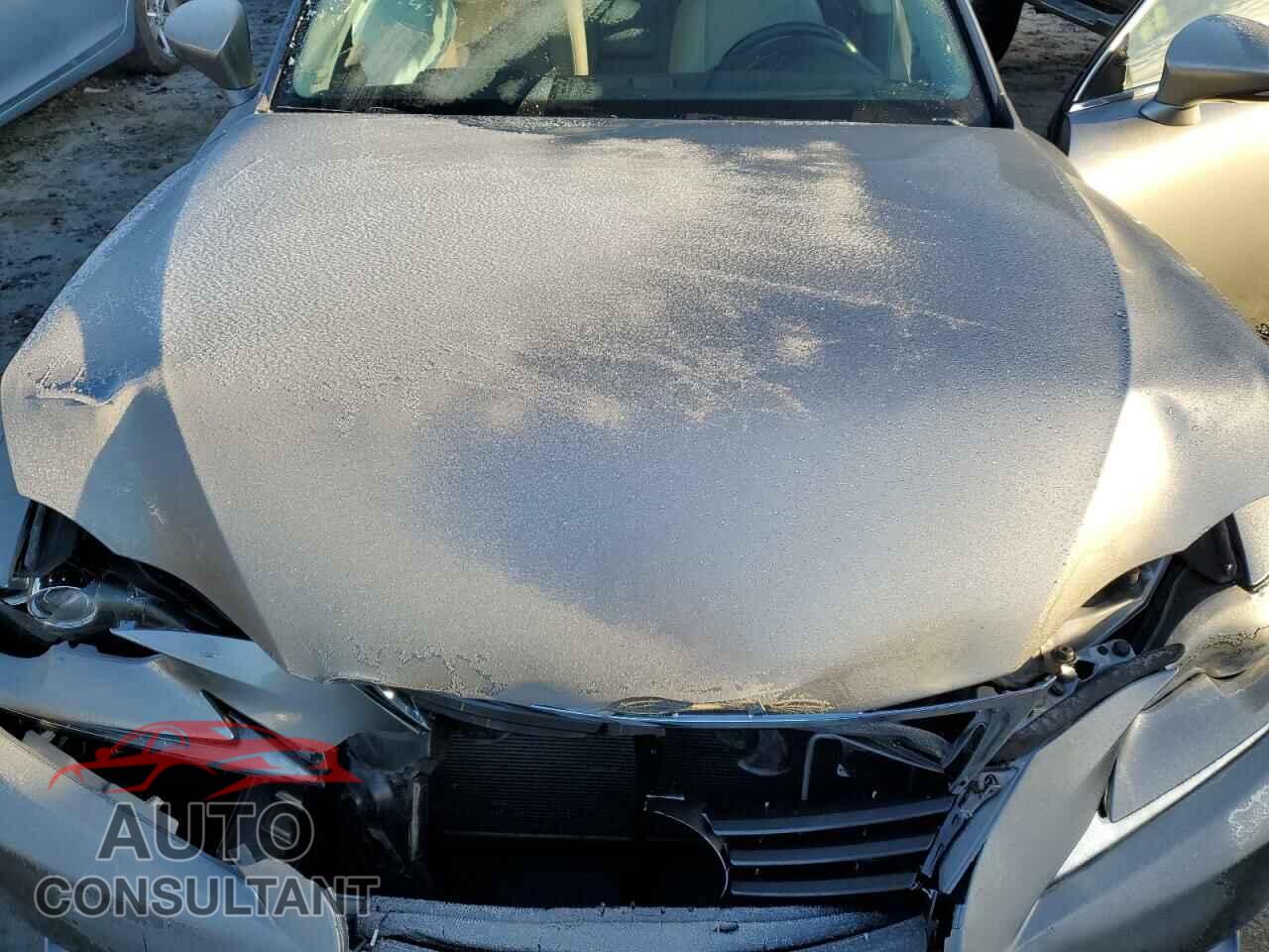 LEXUS IS 2014 - JTHBF1D29E5040384