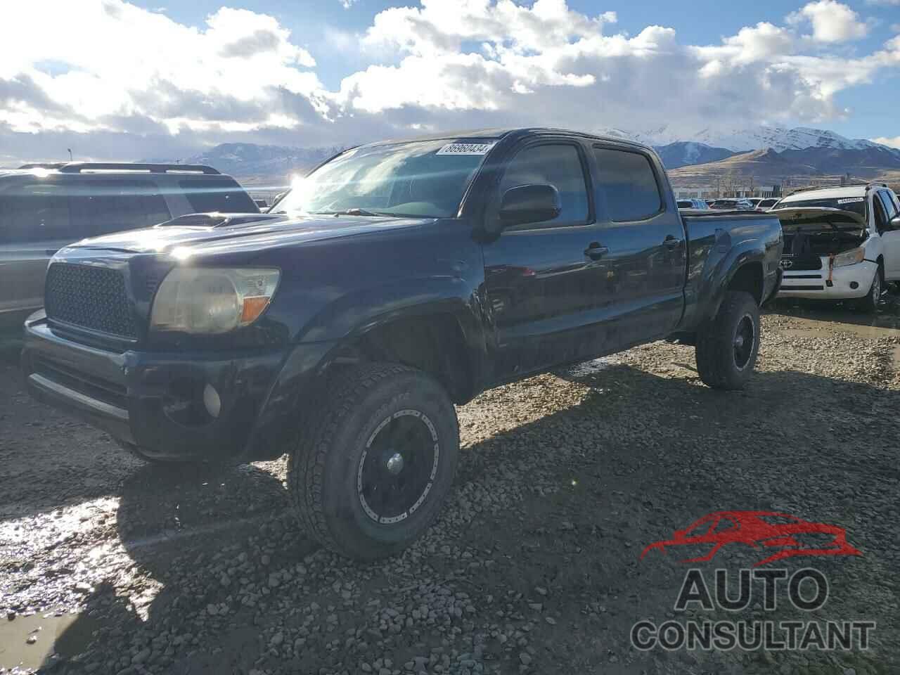 TOYOTA TACOMA 2009 - 3TMMU52N99M010094