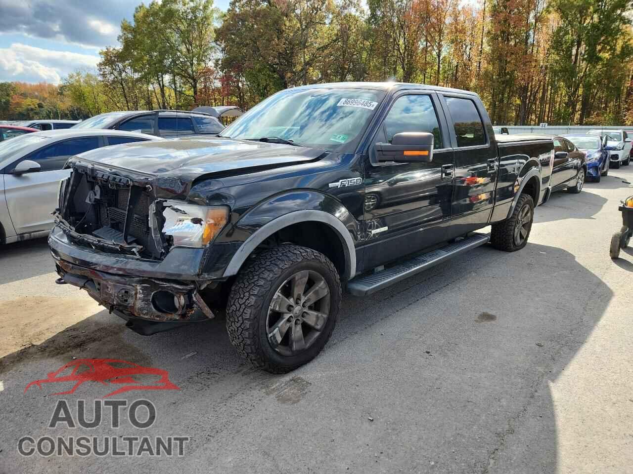 FORD F-150 2011 - 1FTFW1ET4BFB00958