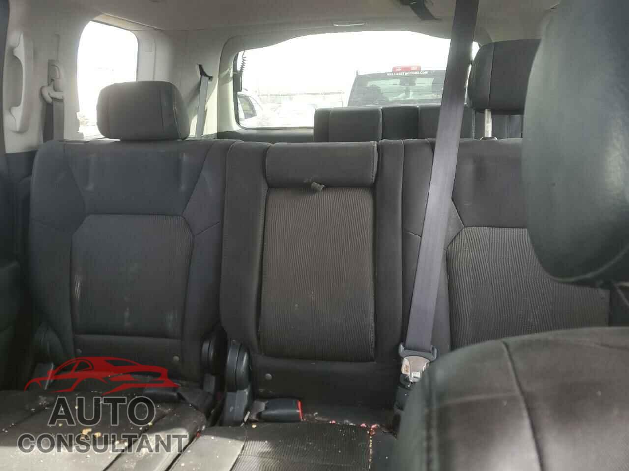 HONDA PILOT 2009 - 5FNYF48409B024474