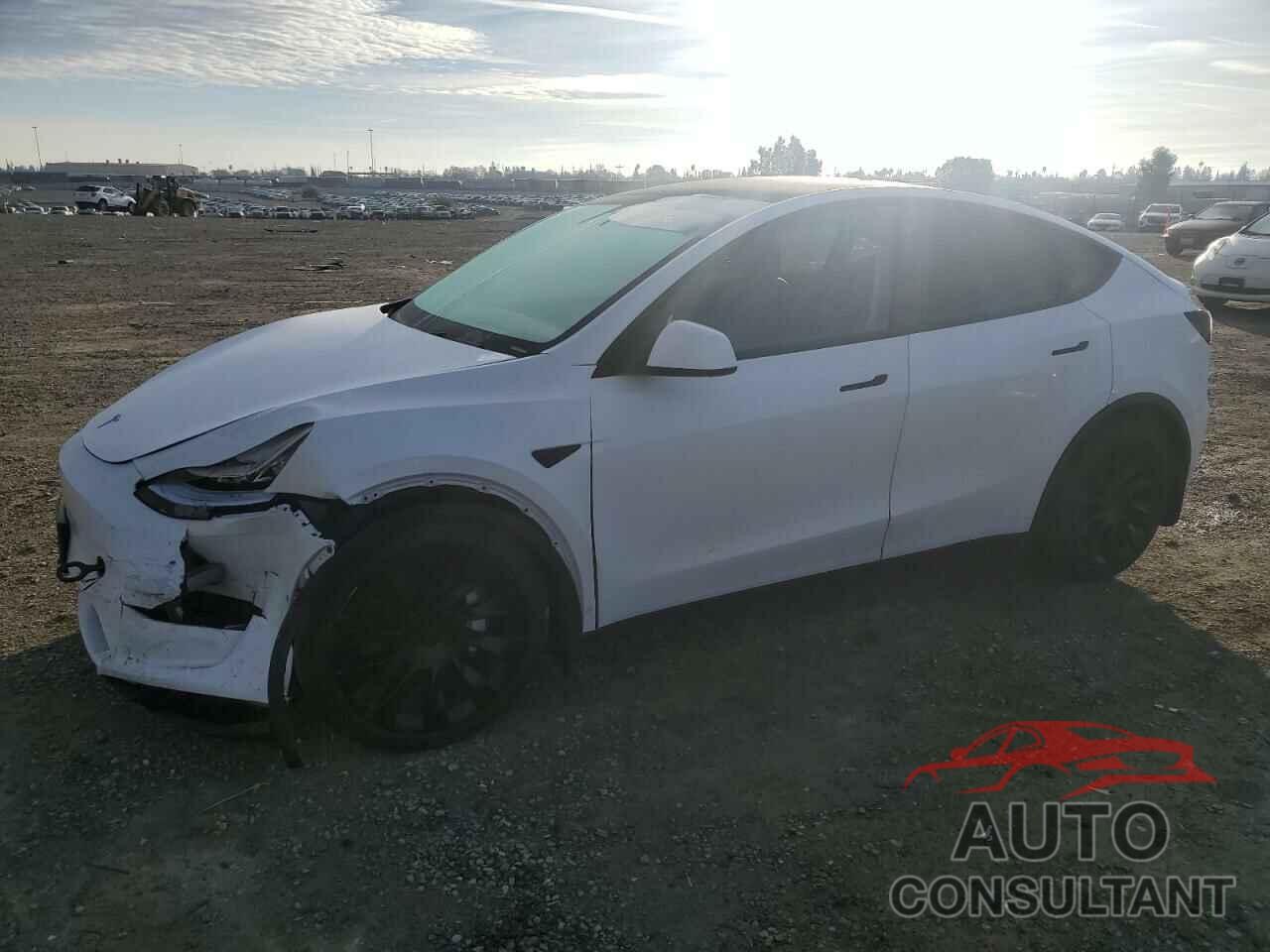 TESLA MODEL Y 2021 - 5YJYGDEE9MF102186
