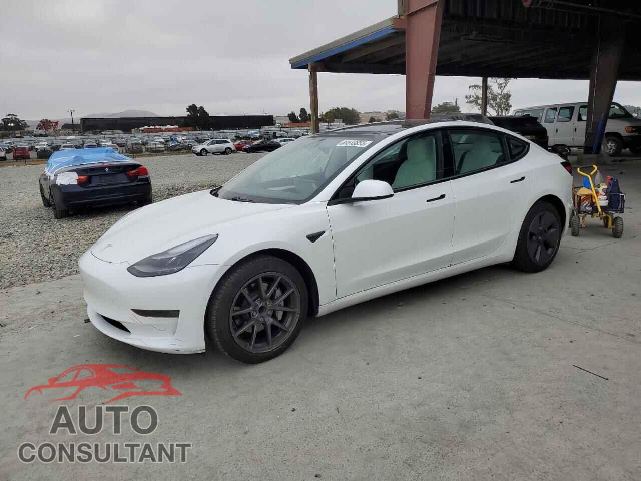 TESLA MODEL 3 2021 - 5YJ3E1EA1MF070295