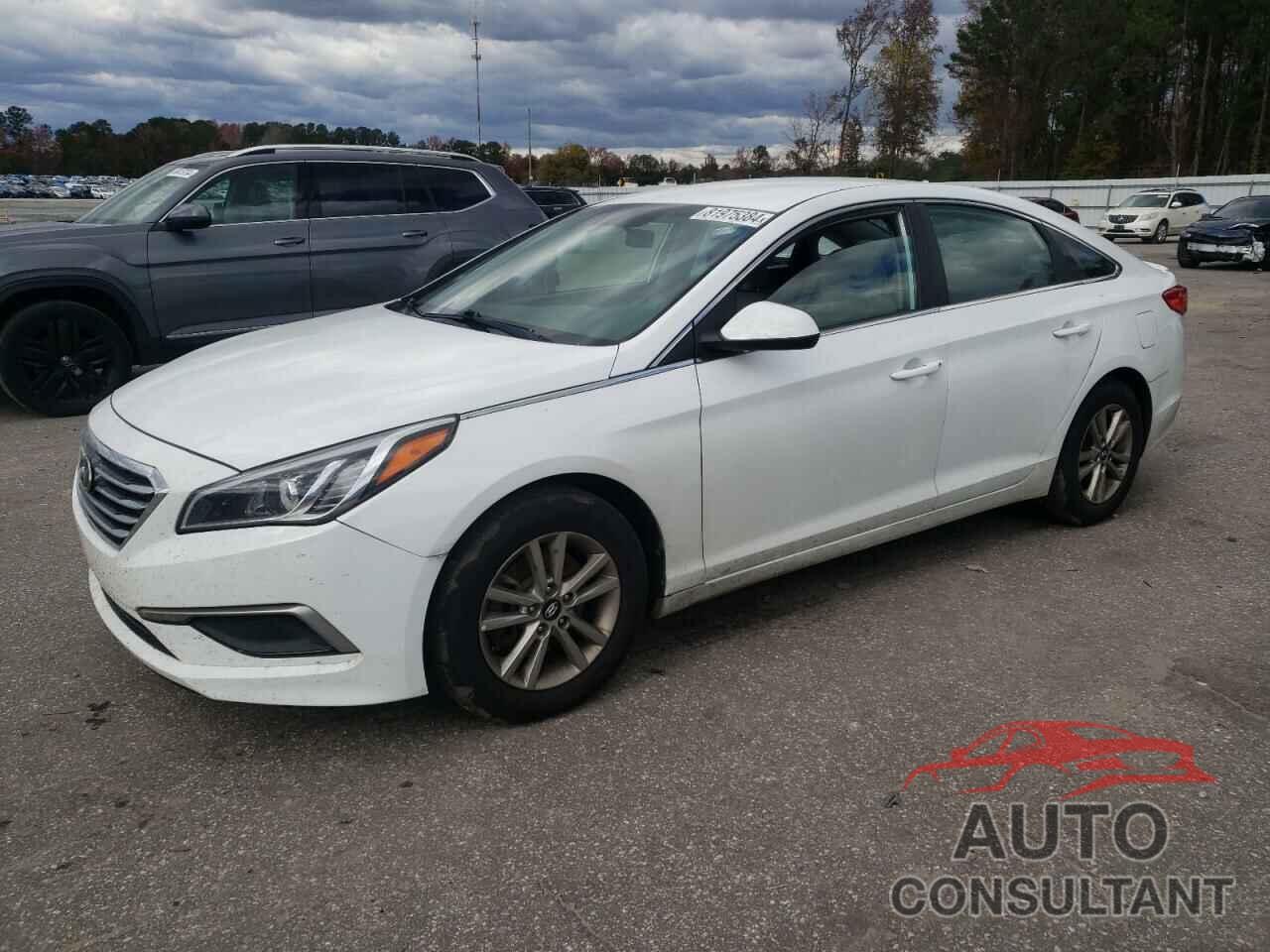 HYUNDAI SONATA 2017 - 5NPE24AF7HH492034