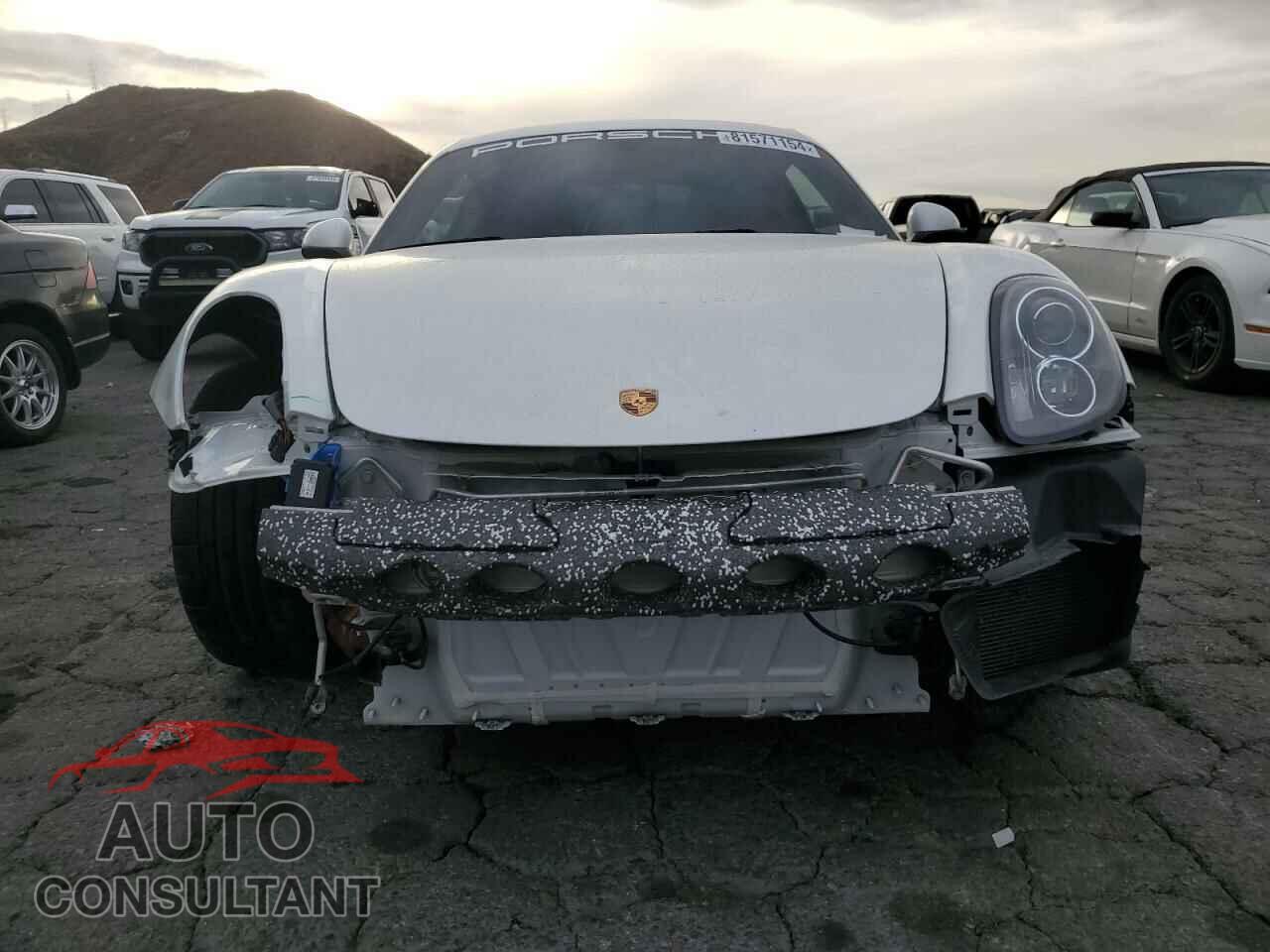 PORSCHE CAYMAN 2015 - WP0AA2A8XFK164824