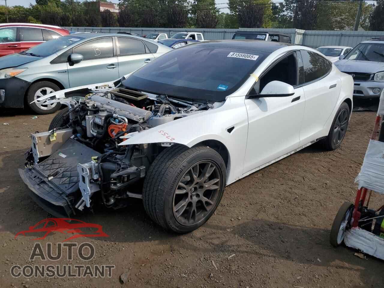 TESLA MODEL S 2021 - 5YJSA1E50MF455437
