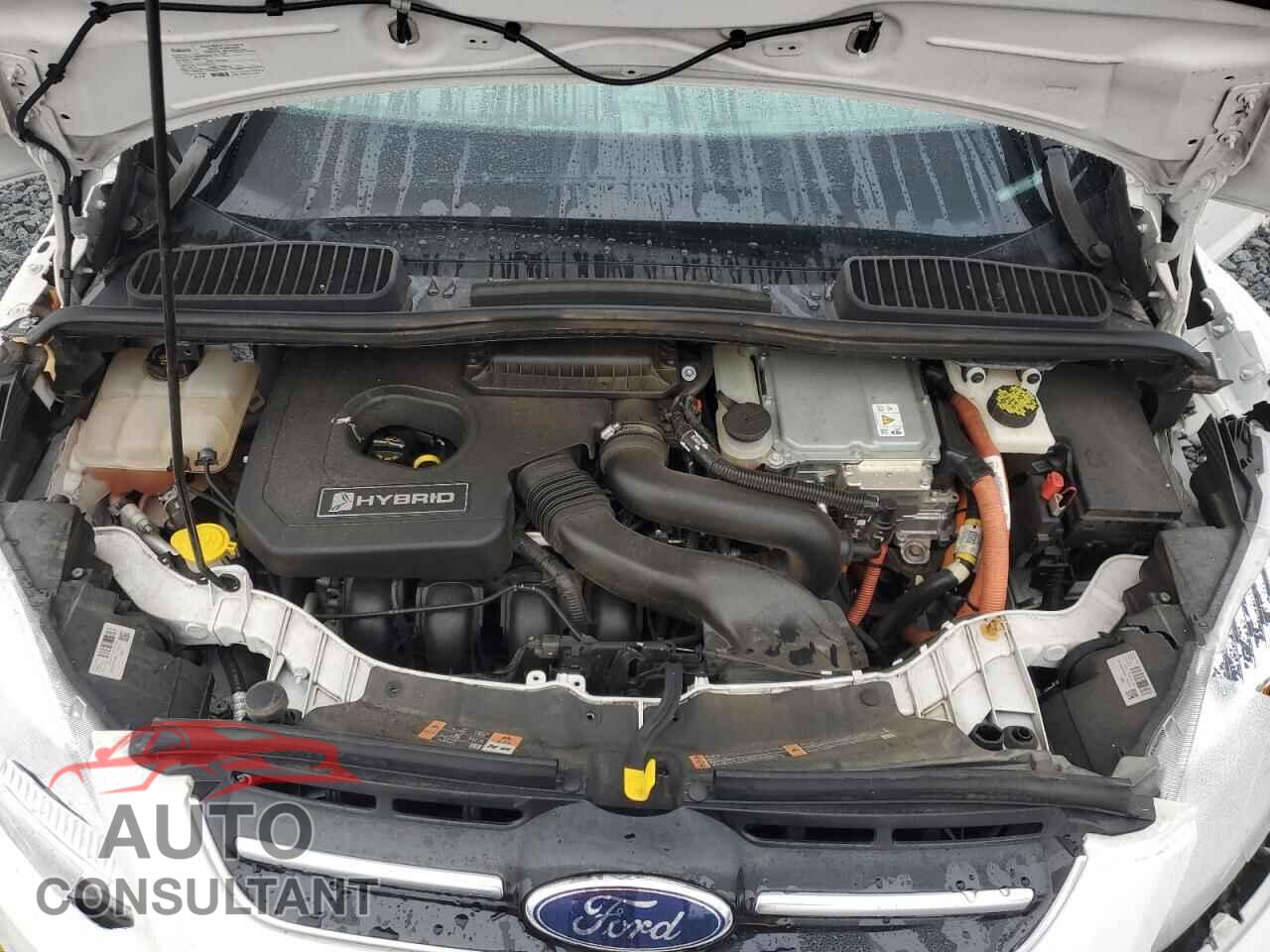 FORD CMAX 2017 - 1FADP5DU2HL111026