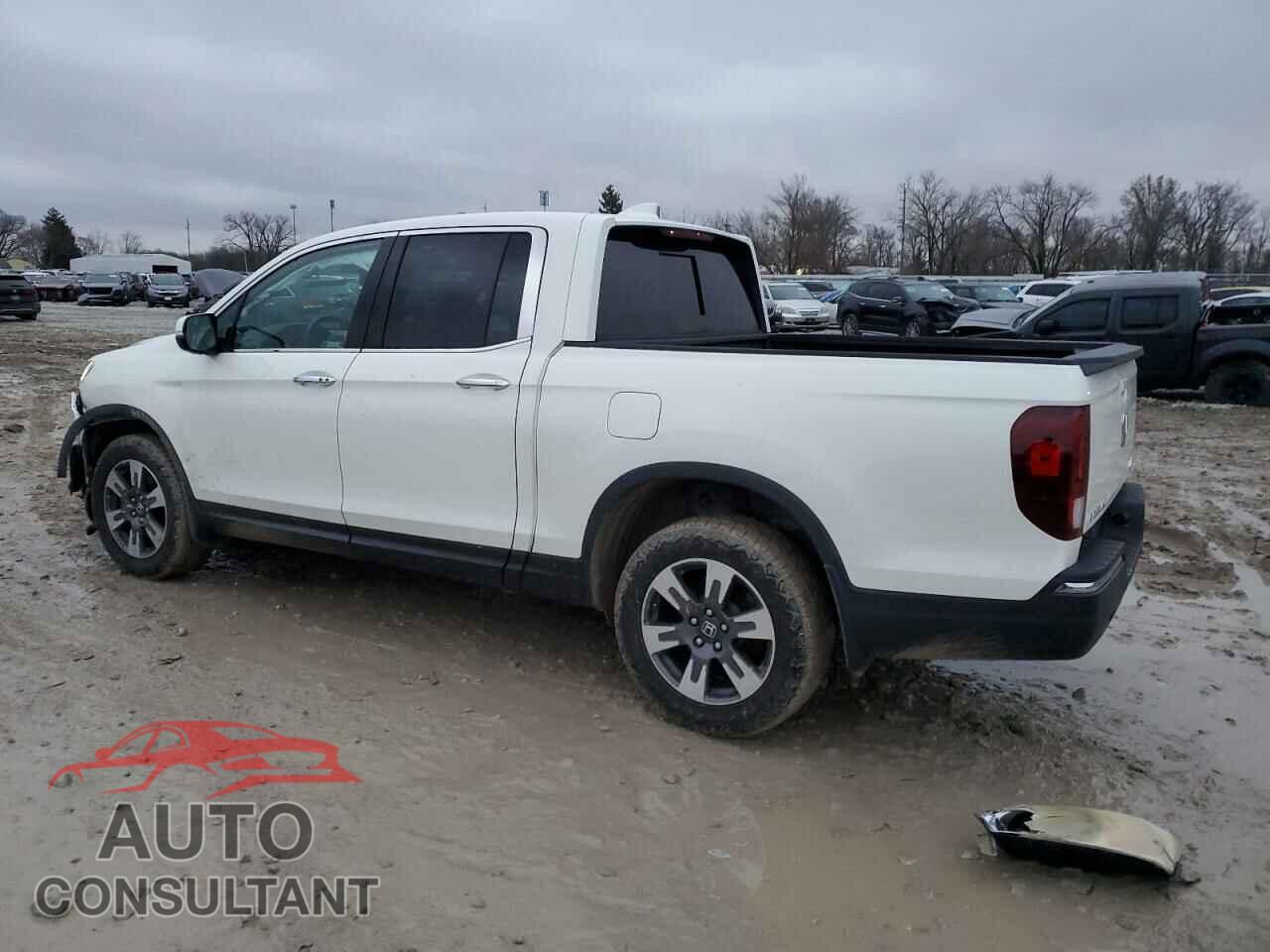 HONDA RIDGELINE 2019 - 5FPYK3F76KB015553