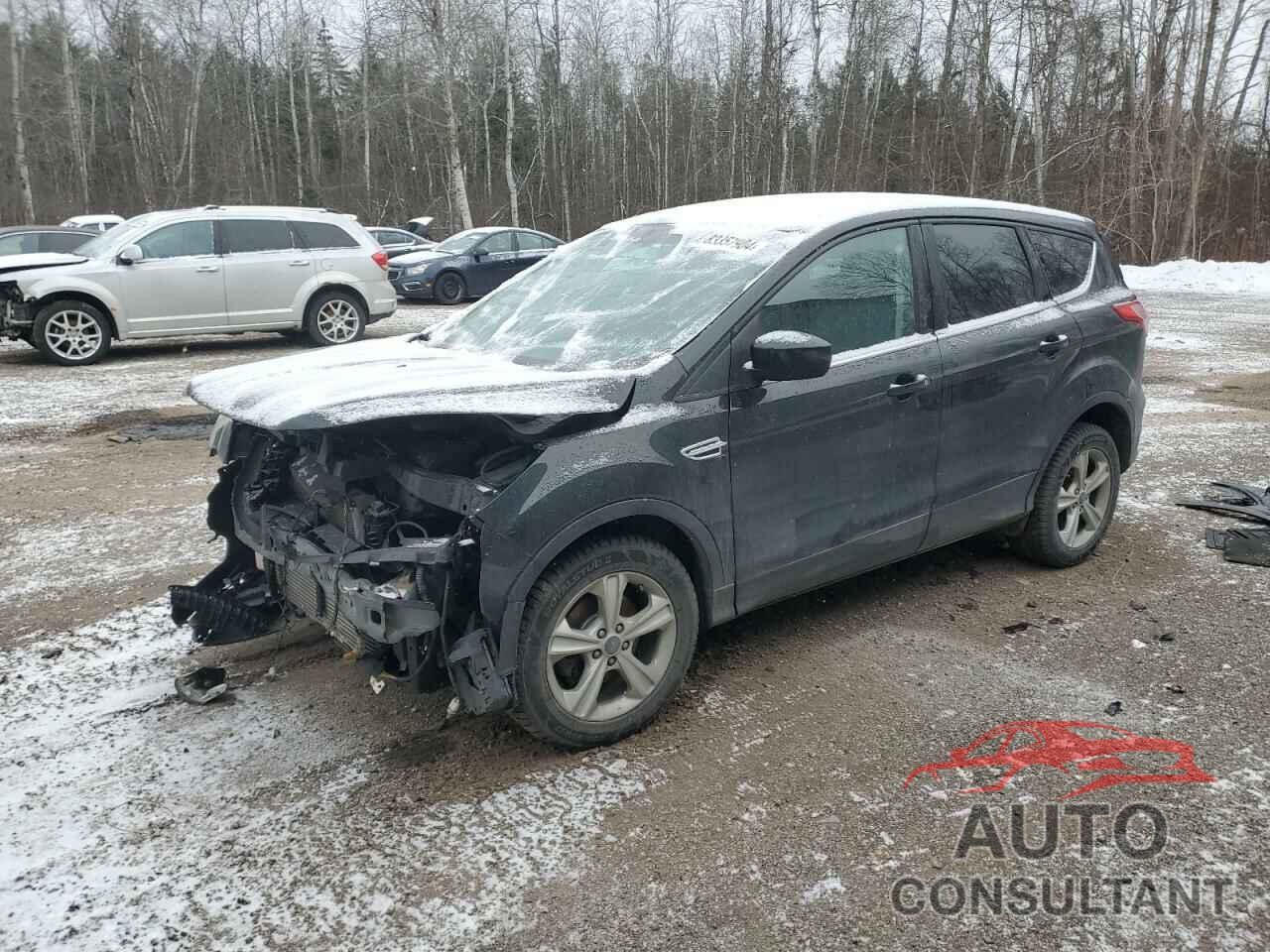 FORD ESCAPE 2014 - 1FMCU0GX4EUB10341