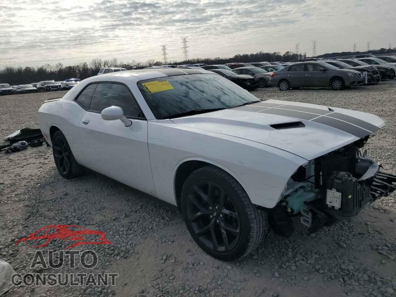 DODGE CHALLENGER 2019 - 2C3CDZAG7KH507577