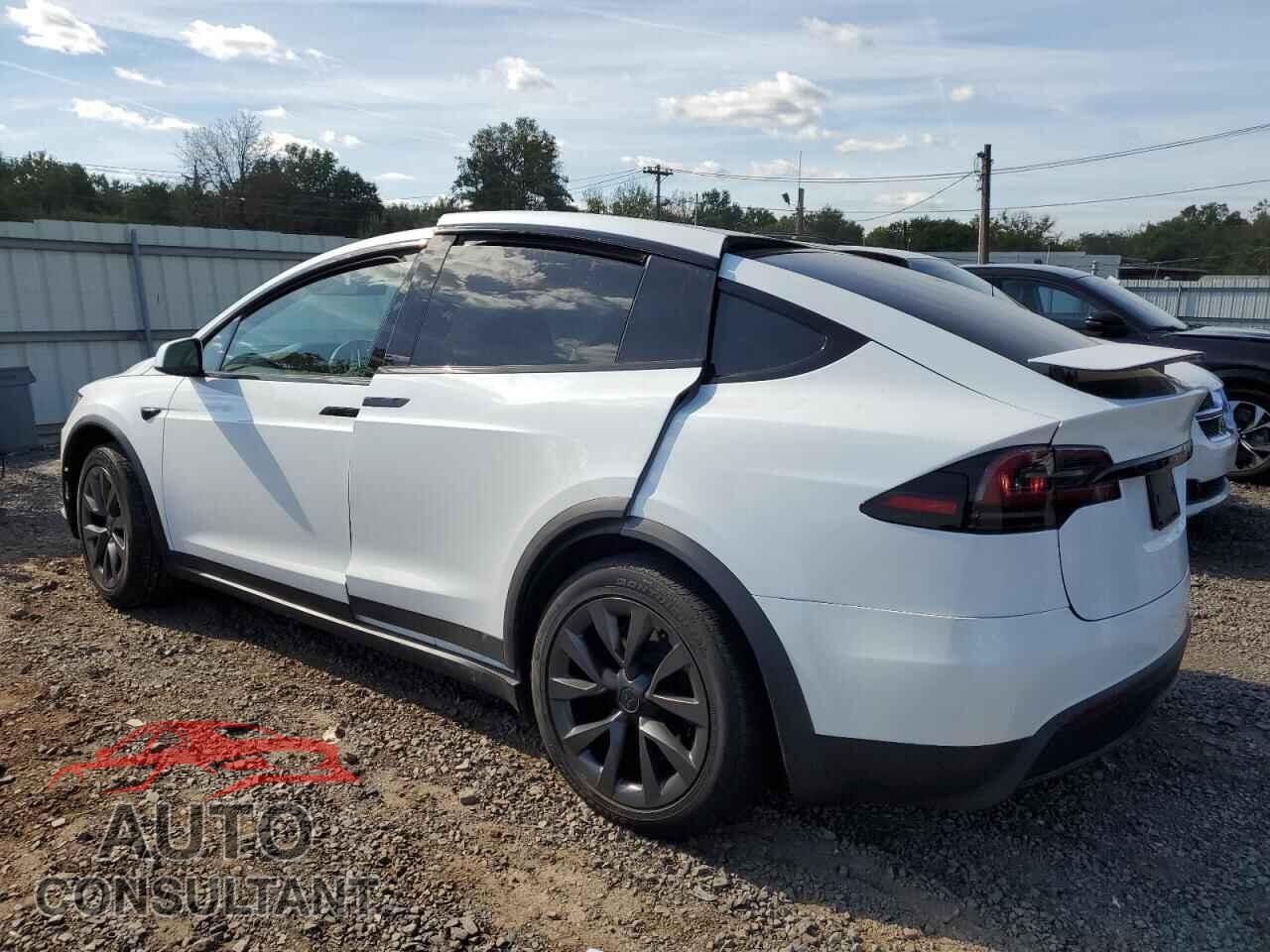 TESLA MODEL X 2024 - 7SAXCAE51RF448488