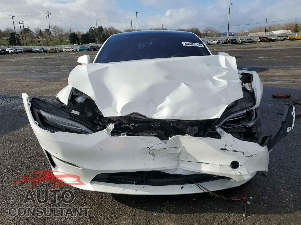 TESLA MODEL S 2024 - 5YJSA1E59RF541014