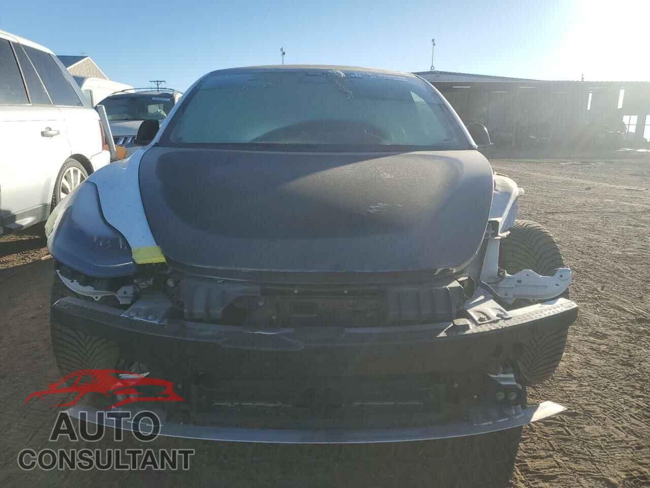 TESLA MODEL 3 2021 - 5YJ3E1EA3MF031742