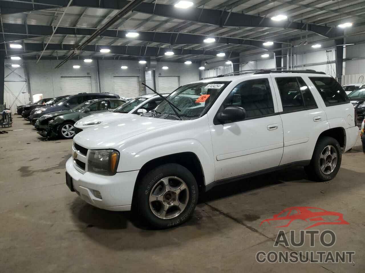 CHEVROLET TRAILBLZR 2009 - 1GNDT33S892133265