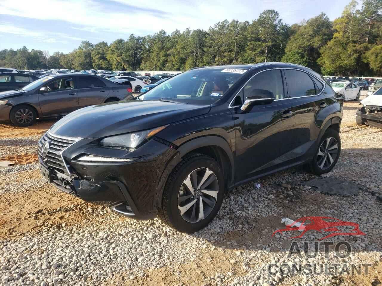 LEXUS NX 2020 - JTJGARDZ0L2223914
