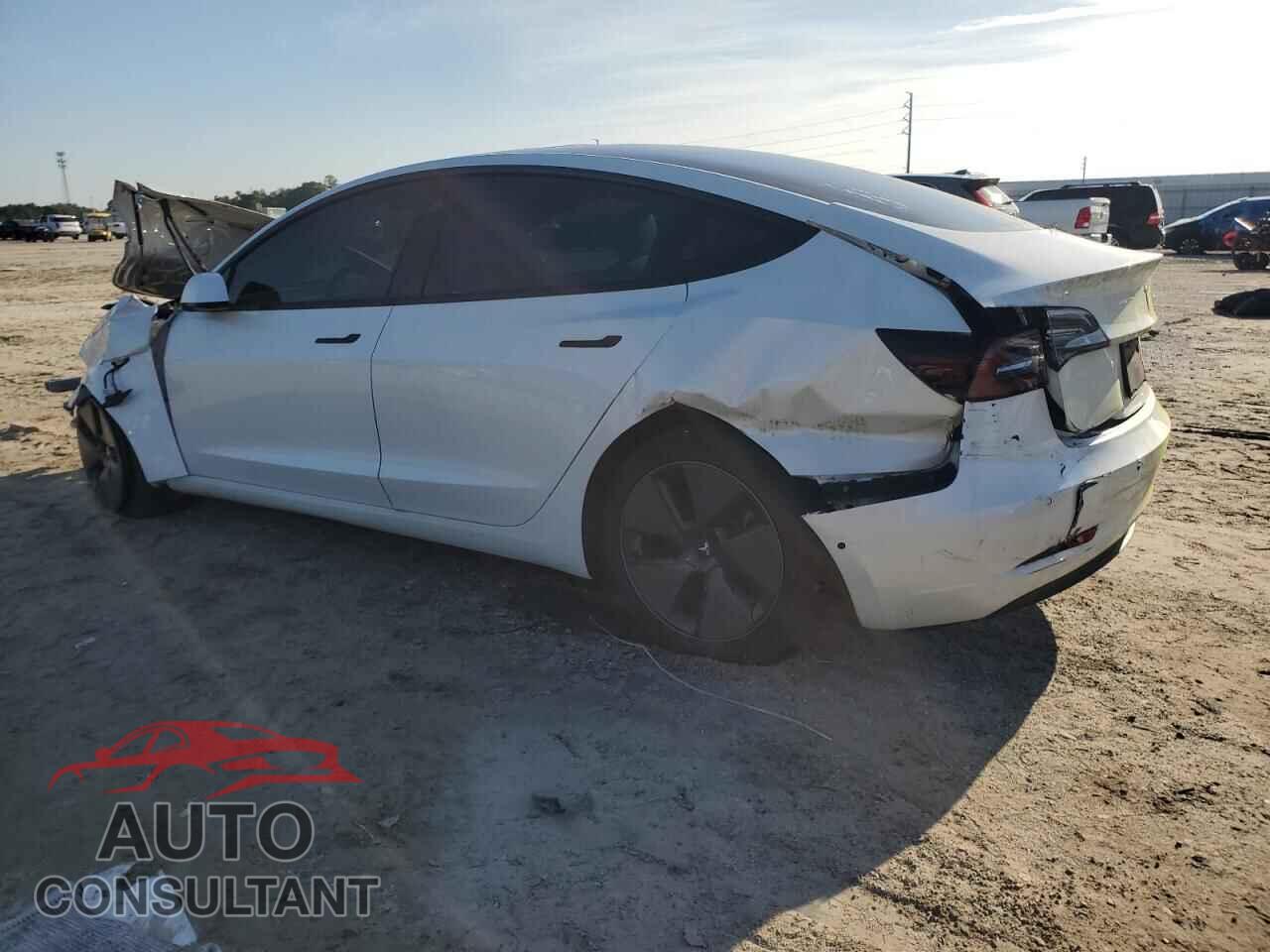 TESLA MODEL 3 2021 - 5YJ3E1EA8MF921606