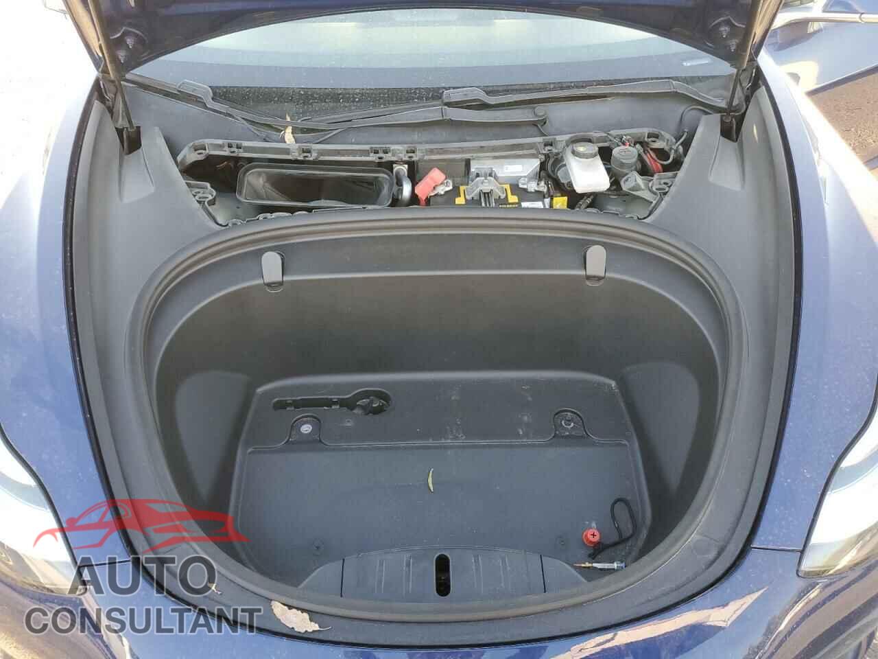 TESLA MODEL 3 2019 - 5YJ3E1EA4KF436067