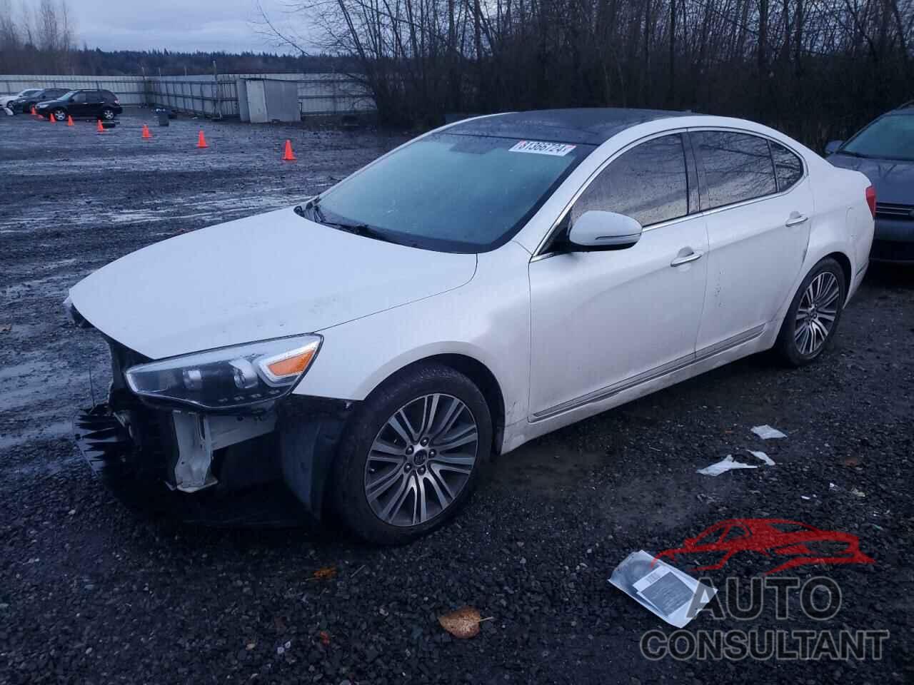 KIA CADENZA 2014 - KNALN4D70E5127125