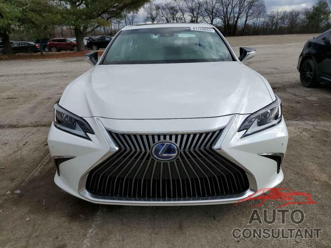 LEXUS ES300 2021 - 58ADA1C16MU001469