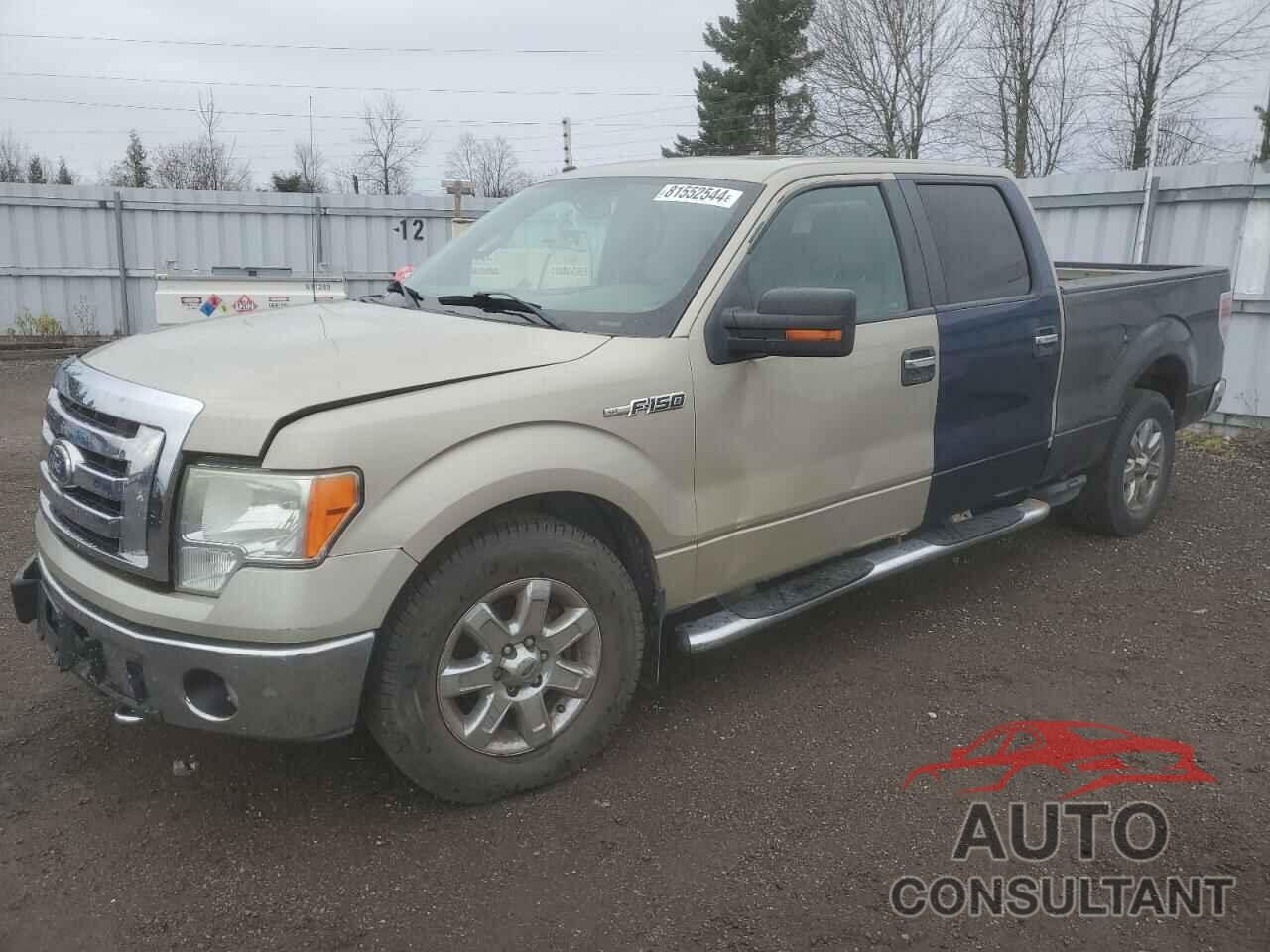 FORD F-150 2009 - 1FTRW14869FA71127