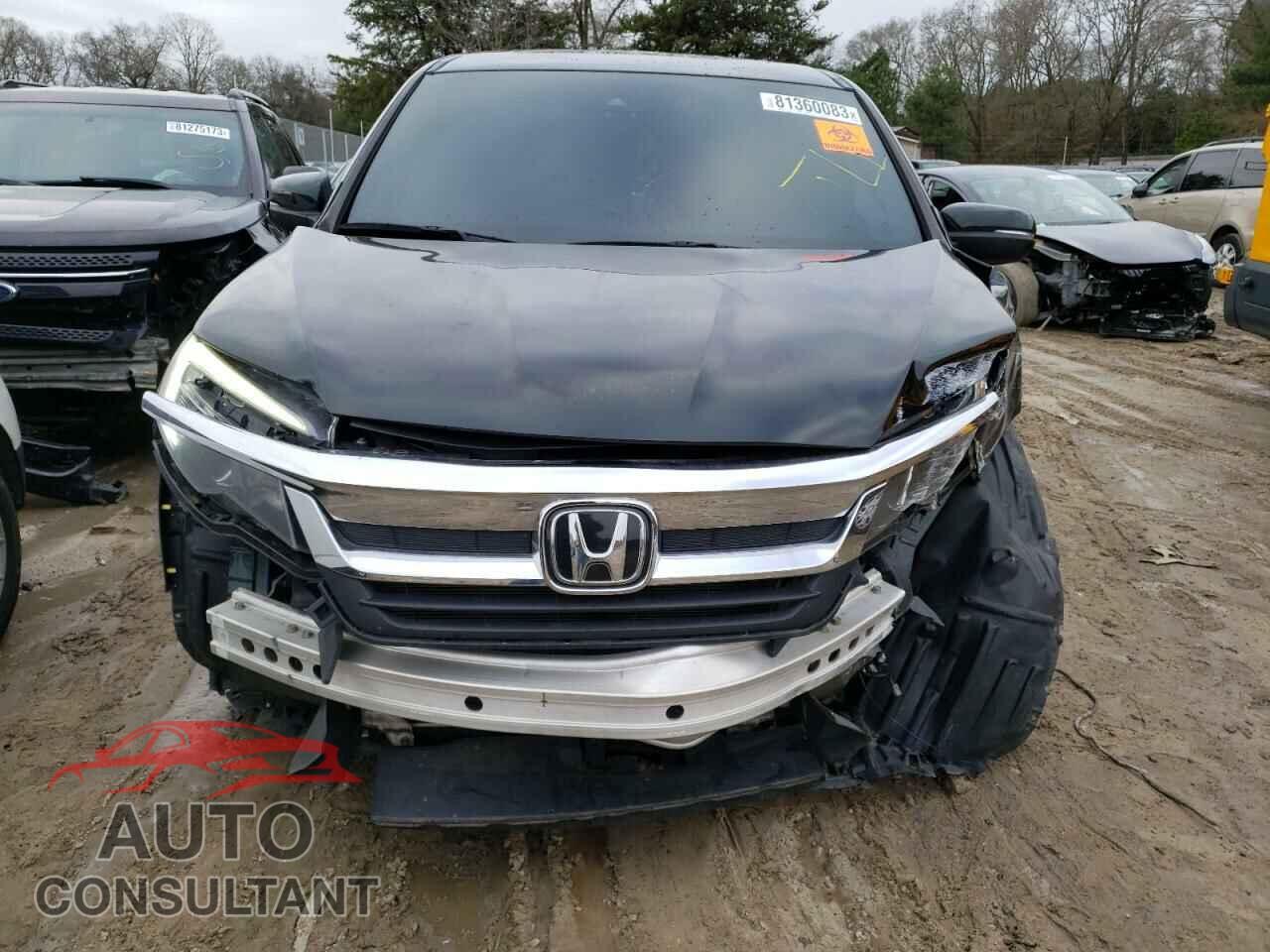 HONDA PILOT 2019 - 5FNYF6H44KB036600