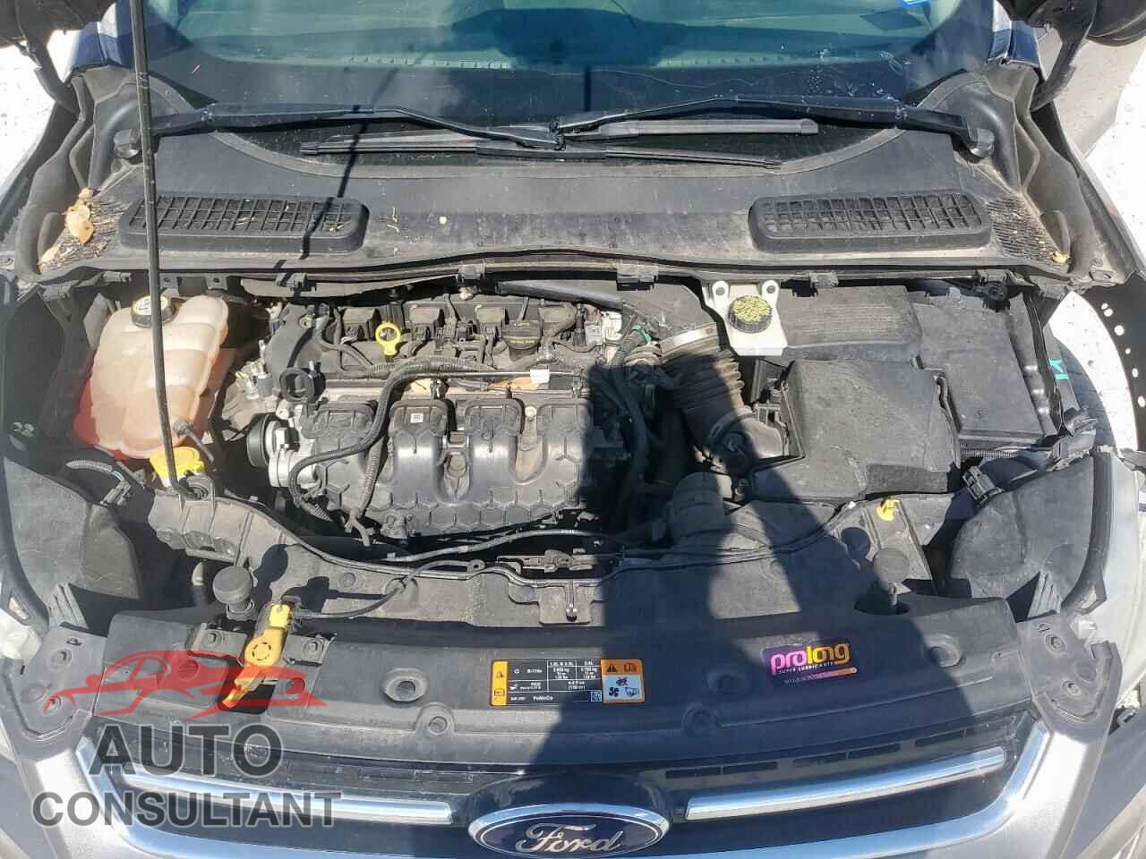 FORD ESCAPE 2014 - 1FMCU0J94EUA45047
