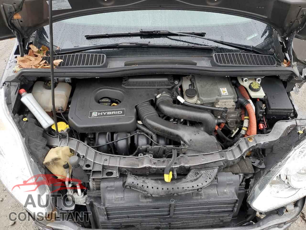 FORD CMAX 2013 - 1FADP5BU3DL545355